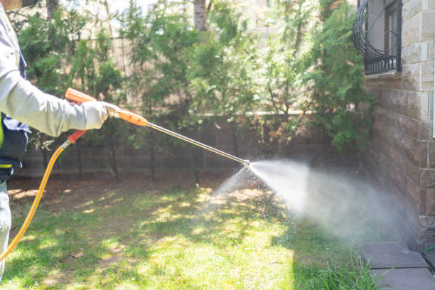 Best Mosquito Control Services  in Houston, TX