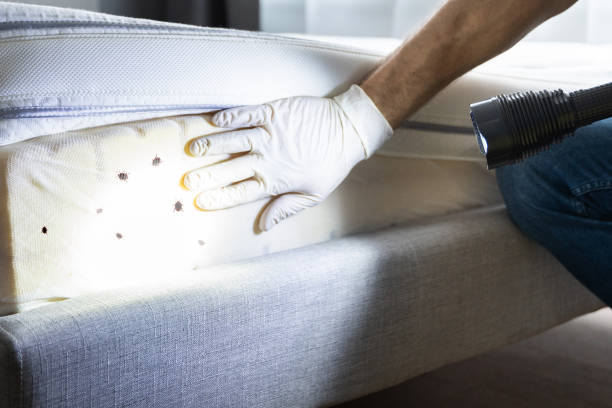 Best Best Pest Control Companies  in Houston, TX