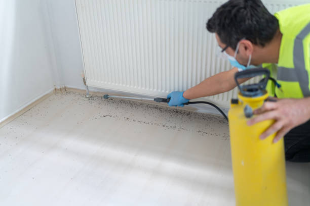 Best Pest Inspection Near Me  in Houston, TX