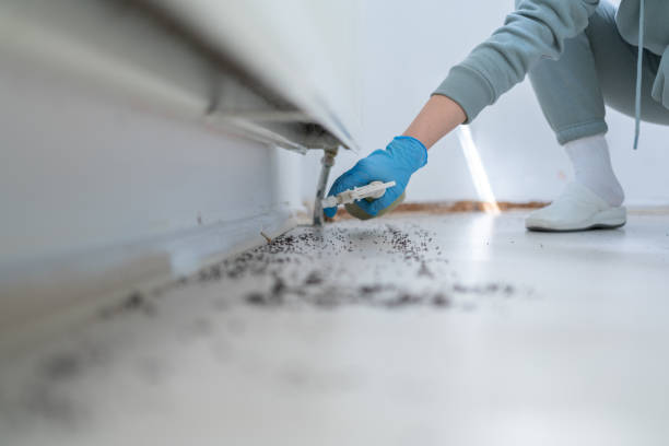 Best Affordable Pest Control Services  in Houston, TX